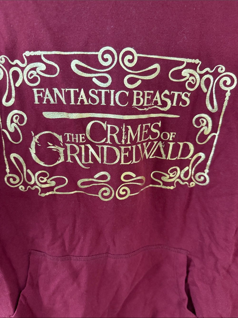 Fantastic Beasts Burgundy Graphic Hoodie Sweatshirt - Picture 3 of 5